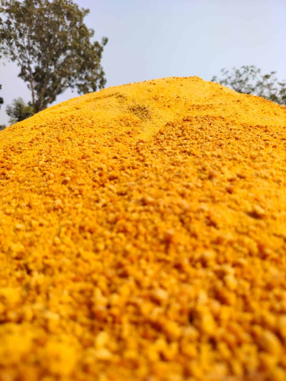 আখের জুস পাউডার